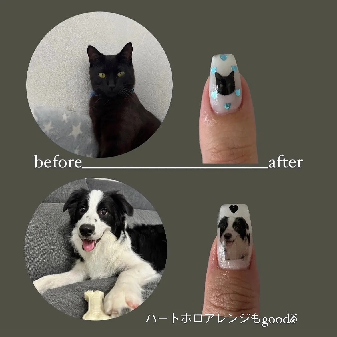 皆様の大切な愛犬🐶愛猫🐈⬛その他ペットちゃん達のネイルしま...