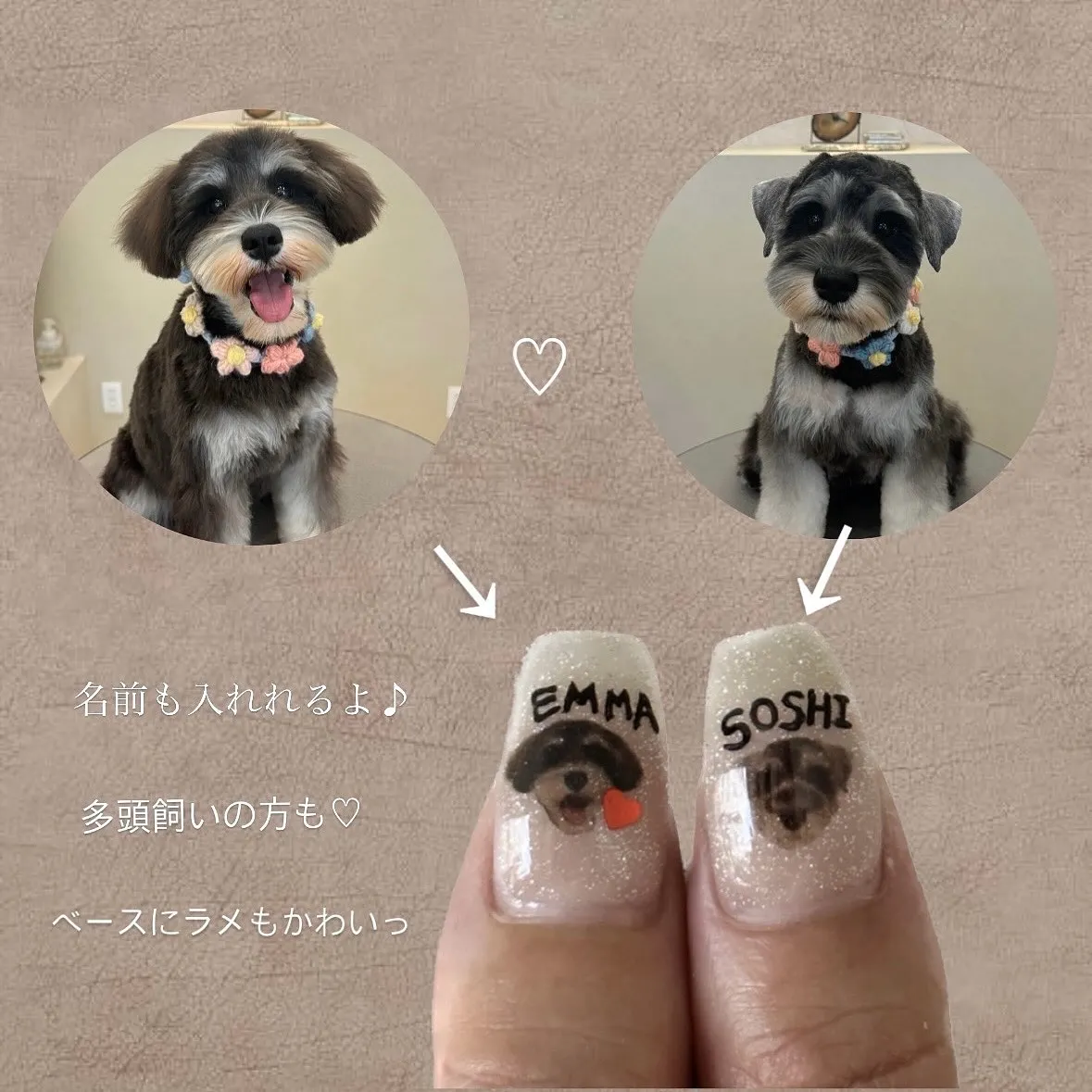 皆様の大切な愛犬🐶愛猫🐈⬛その他ペットちゃん達のネイルしま...